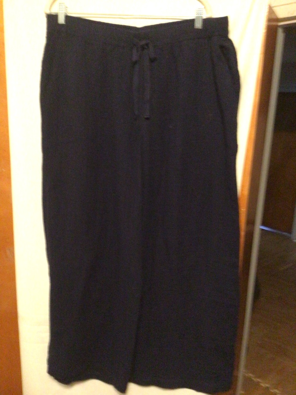 Eileen Fisher Organic cotton Lofty Gauze wide leg pants SZ XL NWT